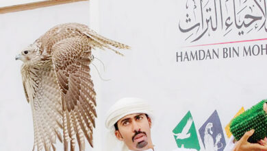 صقارو البحرين يحققون إنجازات مميزة في كأس محمد بن راشد