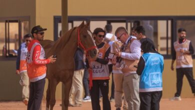 بتوجيهات من سمو الشيخ ناصر بن حمد آل خليفة .. الفريق الملكي للقدرة يشارك يوم السبت في كأس خادم الحرمين للقدرة بالعُلا